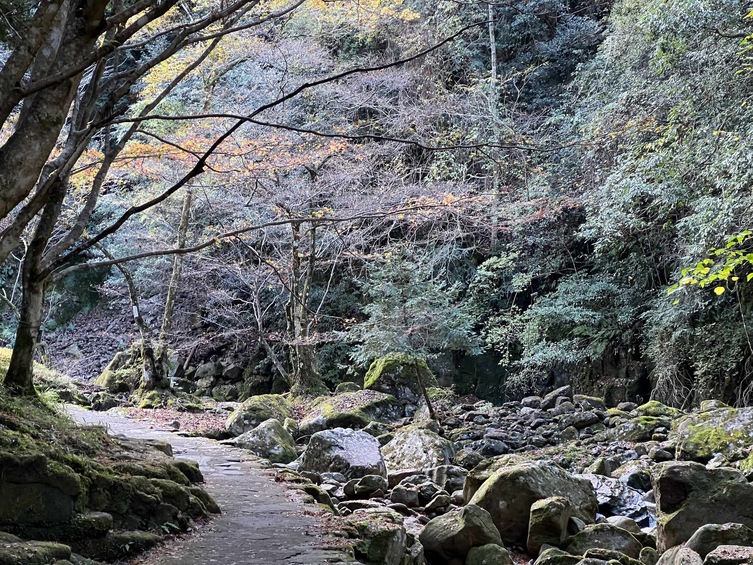 🏞️ 아카메 48 폭포(아카메시주하치타키) 이미지 4